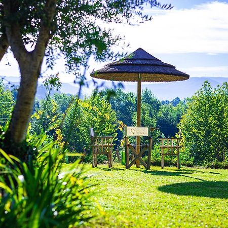 Quinta Da Chouza Agroturismo E Enoturismo Celorico De Basto Exterior photo