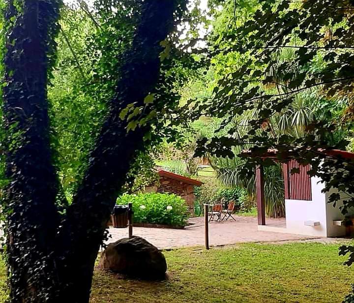 Quinta Da Chouza Agroturismo E Enoturismo Celorico De Basto Exterior photo
