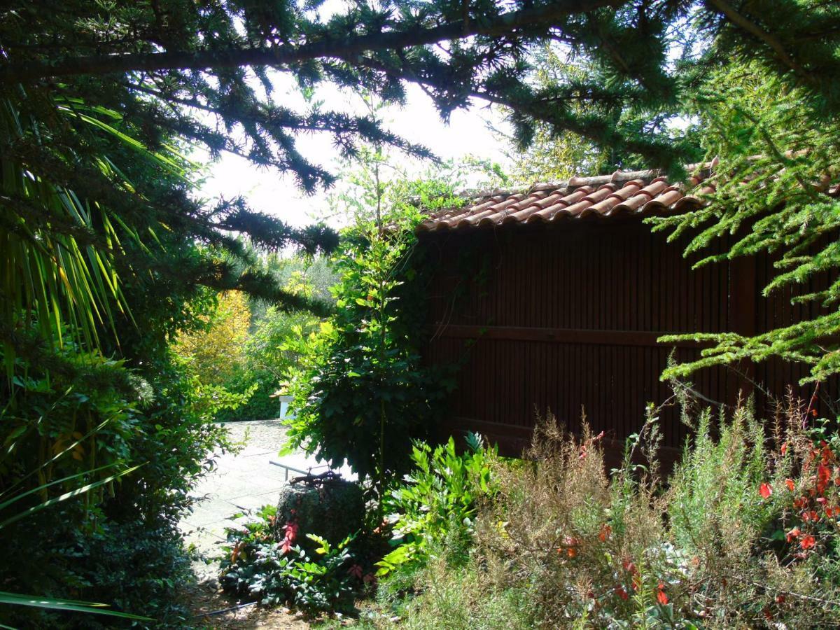 Quinta Da Chouza Agroturismo E Enoturismo Celorico De Basto Exterior photo